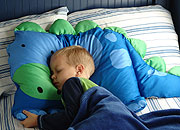 Dinosaur Boy Sleeping With Pillowcase