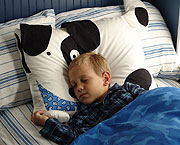 Dog Boy Sleeping With Pillowcase